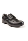 Deer Stags® Williamsburg Comfort Oxford Shoes, BLACK, hi-res image number 0
