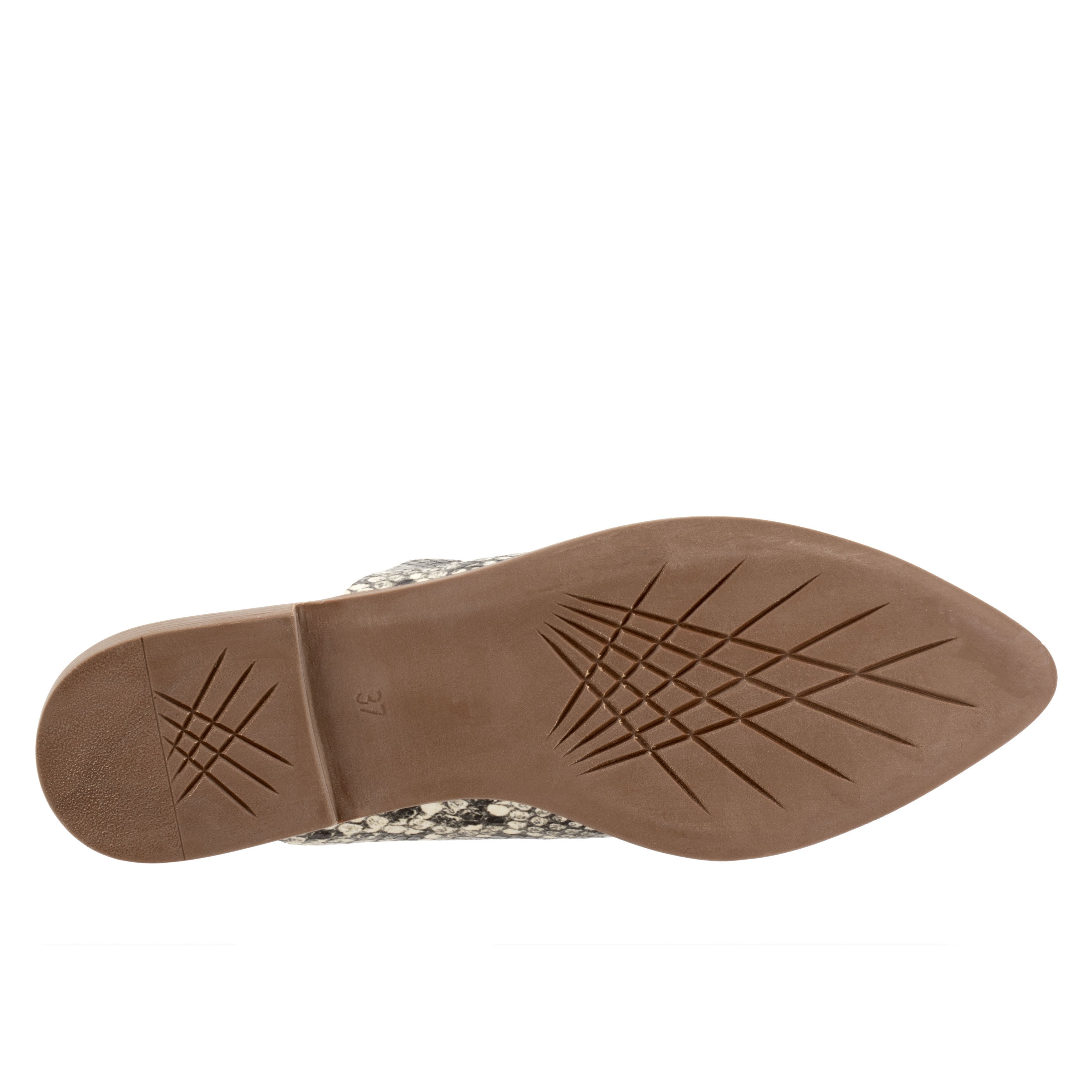 Bambi Flat, BLACK SNAKE, alternate image number 2