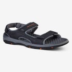 null image number null