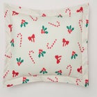 BH Studio Reversible Pillow Sham image number null
