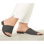 The Sola Mule image number null