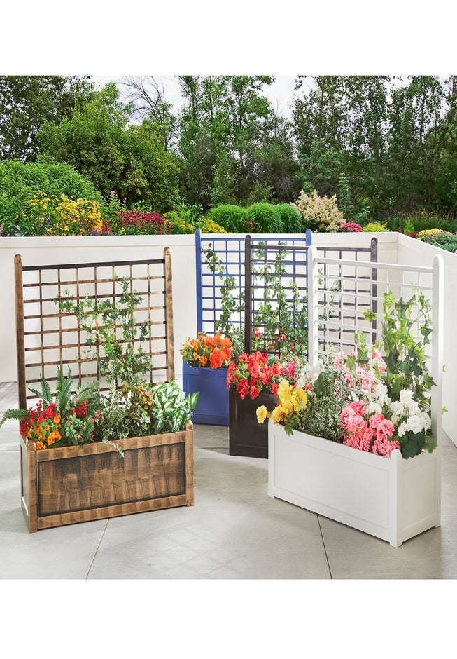 Flower Box With Trellis image number 7
